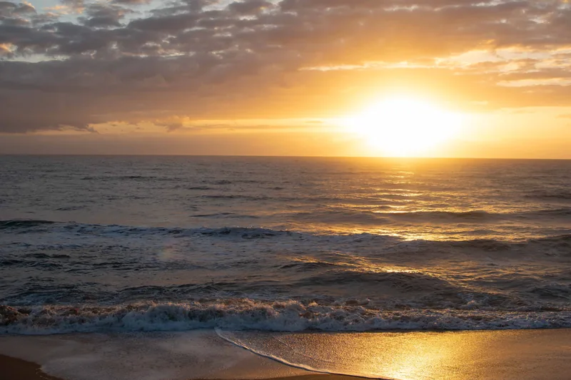 The sun rising over the ocean, gold light on the water and the sand