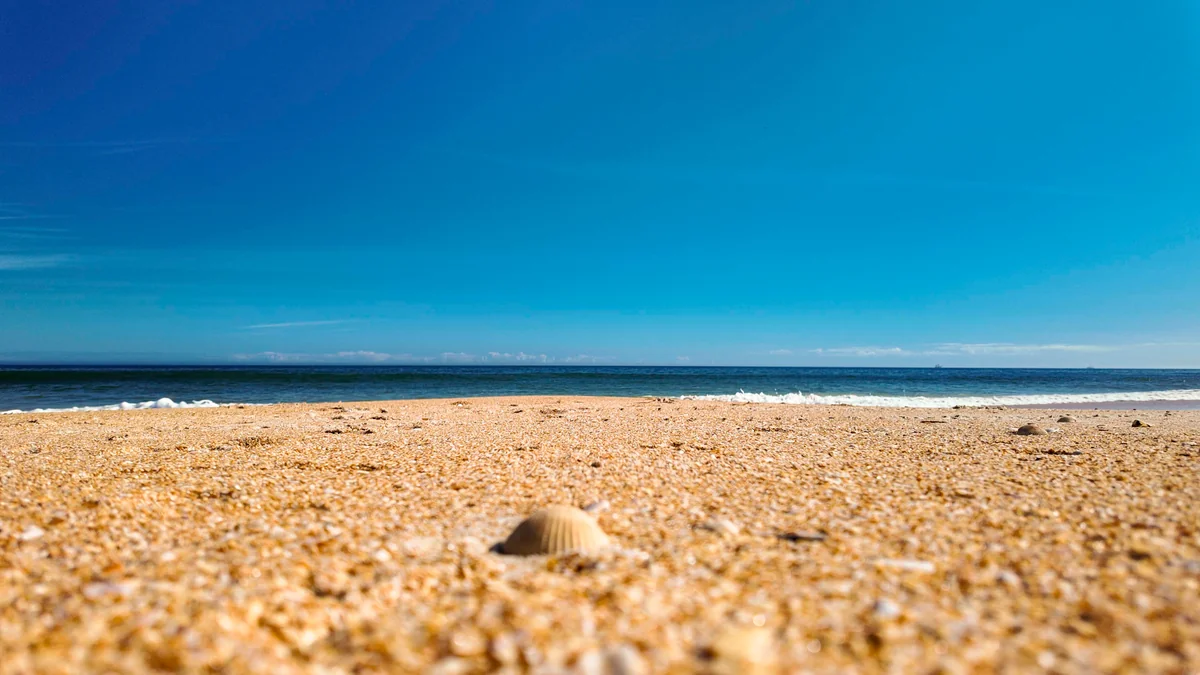 A single shell on the sand at ground level, with a level ocean horizon and a deep blue sky