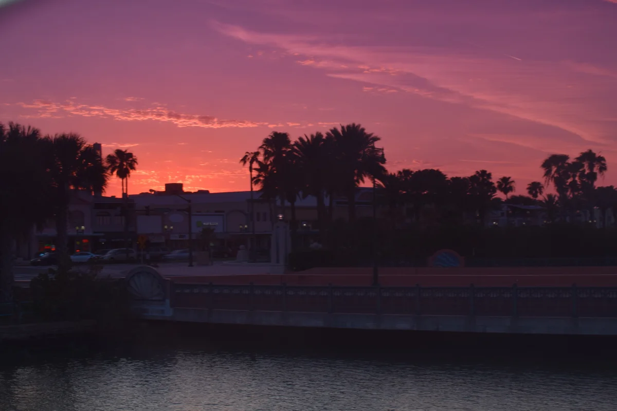 Palm trees and a riverfront in silhouette under a pink and violet sky after sunset